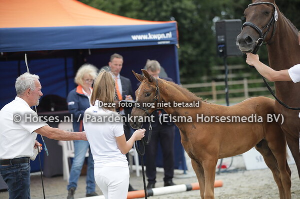 199 Rumour Has it (Valverde x Valancia v. Krack)