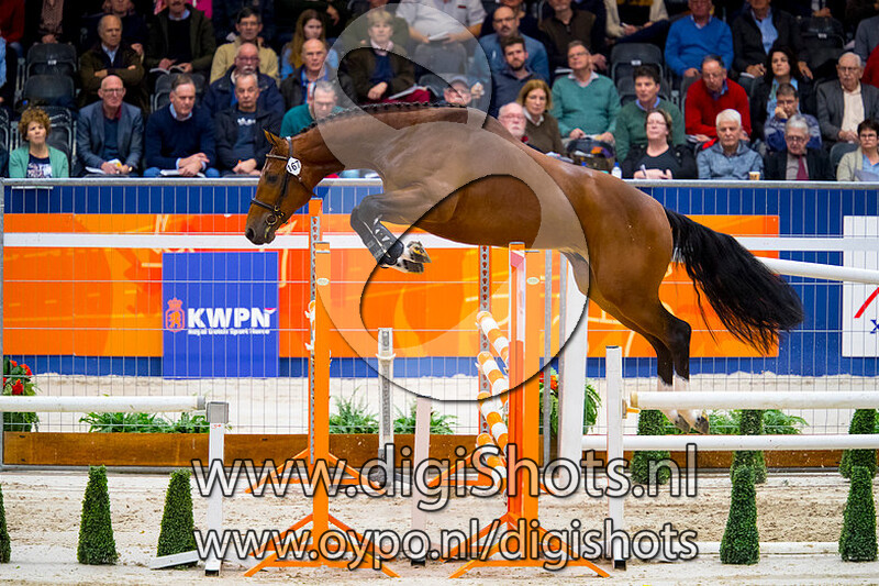 Leonardo v. Gullit HBC