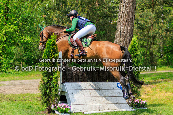 Grandorse Horse Trials Paard L en Pony M 05-05-24