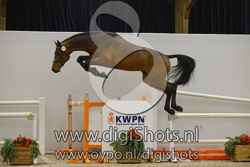 Norofino v. Impressive VDL