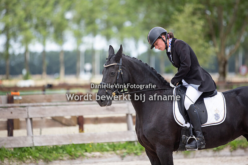 Diana Hollander _ Minke