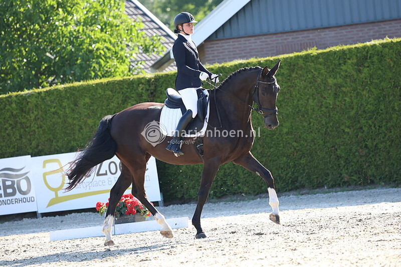 501_DENEKAMP_8.00tot10.20_ring1+3_21Juni2025