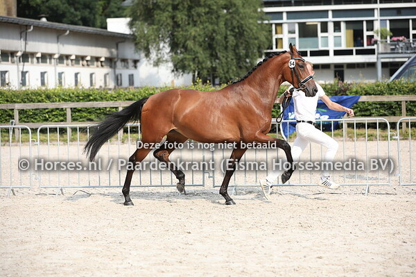 54 Larah (UB 40 x Baulina v. Contango)