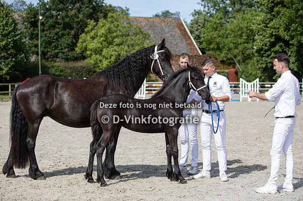 15. Antje fan aon it Spoarwei