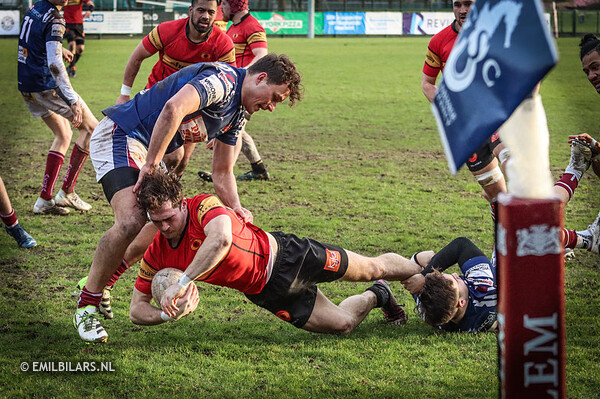Rugby; RFC HAARLEM - THE DUKES, 27-01-2024
