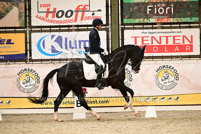 Yosrin Wachikh - Raindrops on Roses