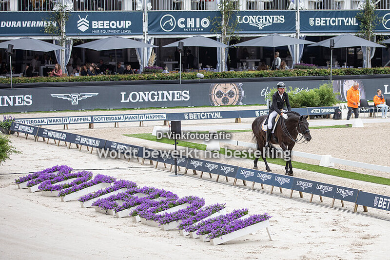Domien Michiels - Intermezzo van het Meerdaalhof