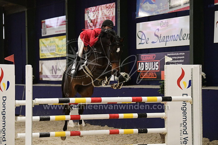 Lucille Billet - Habibi BS