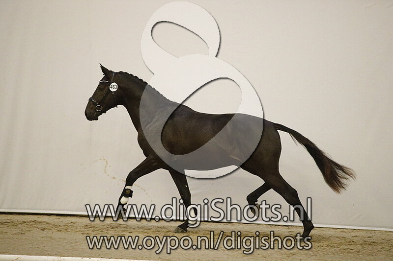 463 Lenoir YT v. Governor