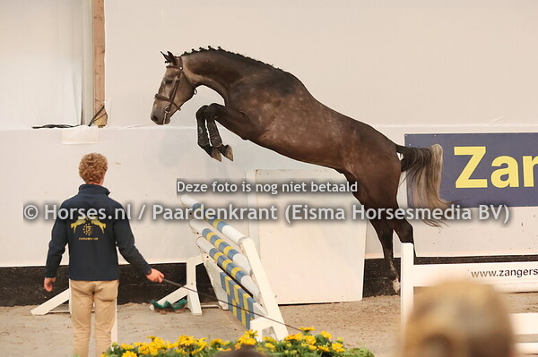 7 Conell TB Z (Contagio Z x Indoctro