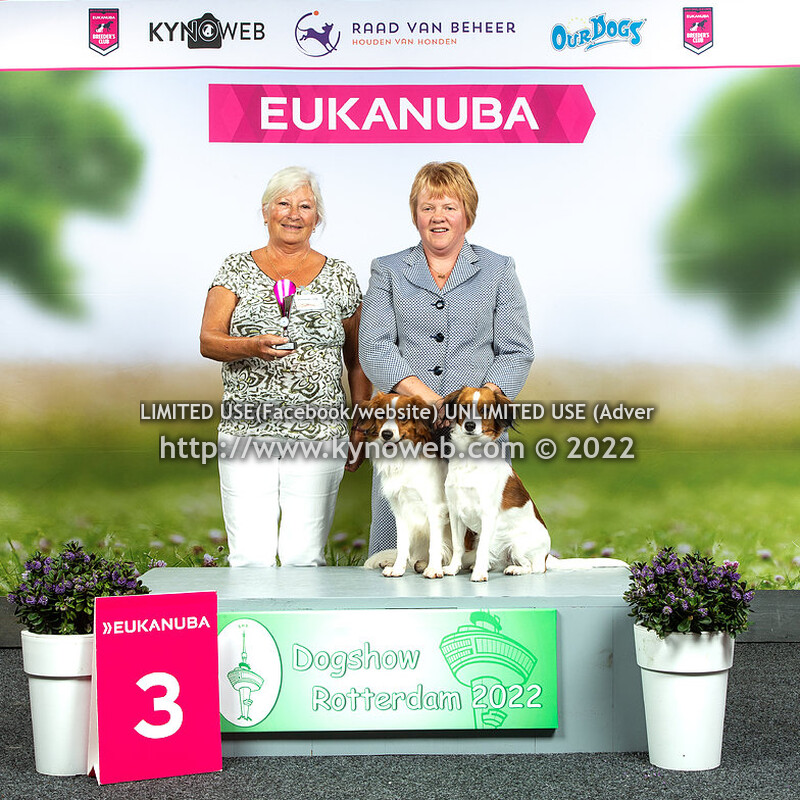 SATURDAY GROUPS & BIS