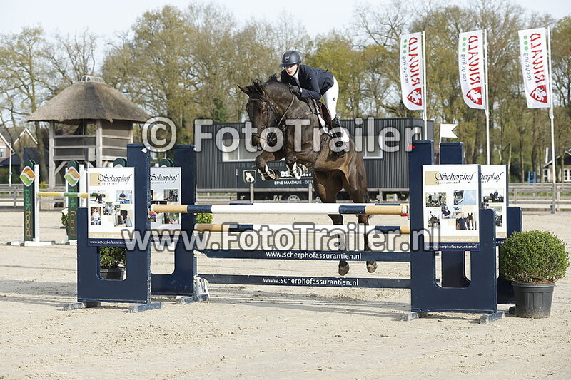 fabienne lichtenvoort cats