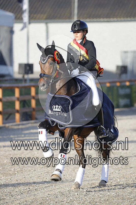 N-constantino vd Bolkerh