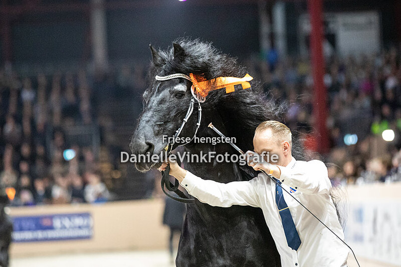 Hengstenkeuring 2023 Aan 216