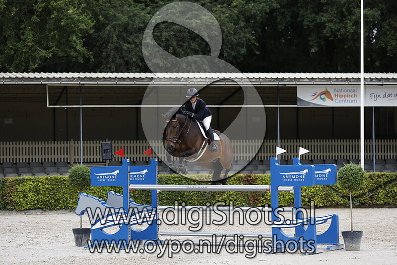 Springen 1.20cm paarden