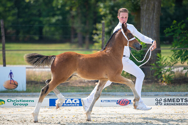 Inspectie NWPCS Sevenum