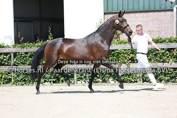 63 Painted Dream (First Dior x Exotic Dream)