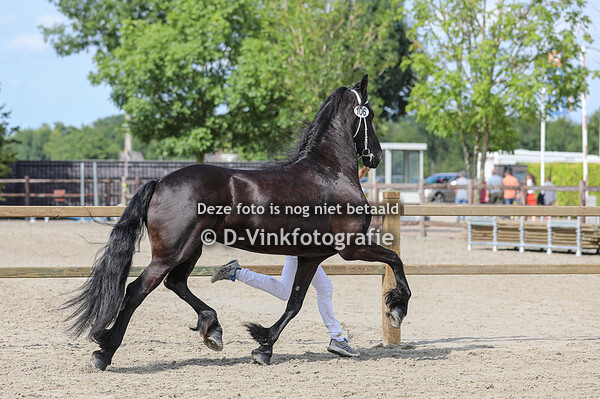Kampioen fokdag en reserve kampioen