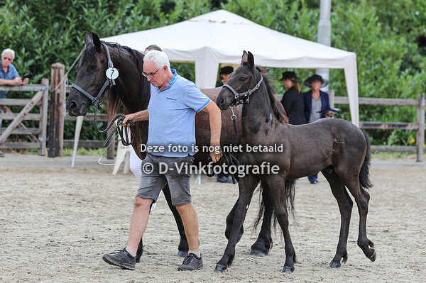 07. Thuur van de Heintjes Hoeve