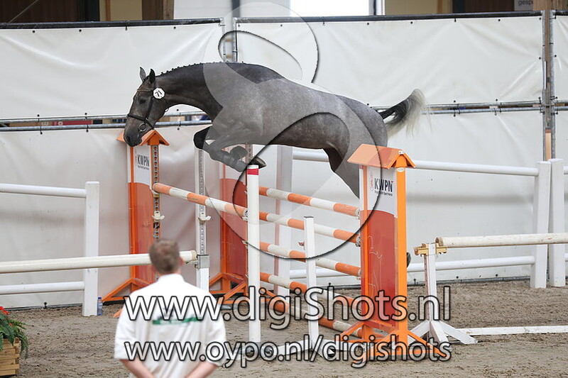 Kylely VDL v. Dakar VDL