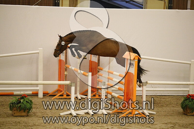 228 Leo the Lion v. Quasimodo Z