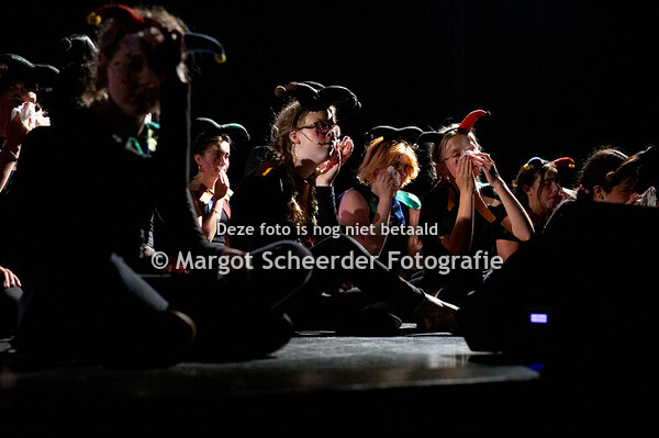 12. De Narren – Het Lied van de Narren