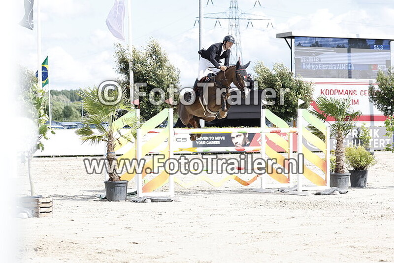 rodrigo giesteira almeida