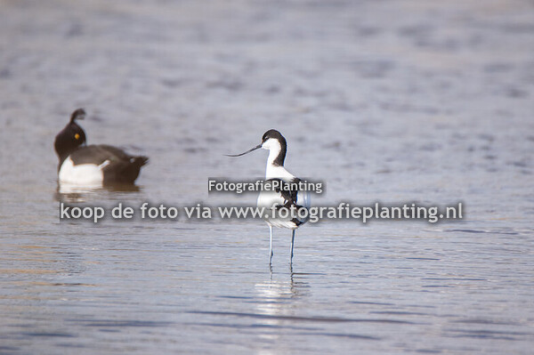 Natuurfotografie 2024