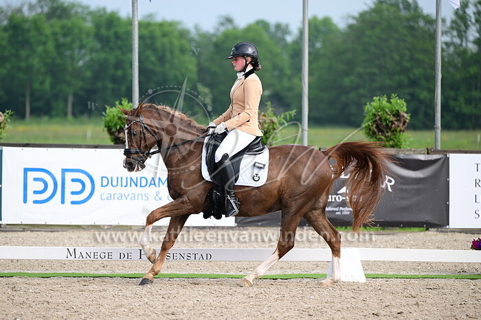 Lois Saman - Goldwin's Hoeve's El Diego