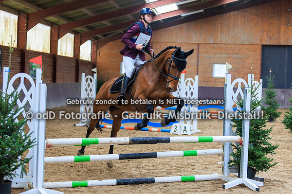 Indoor SGW Springen Paard BB 29-12-24