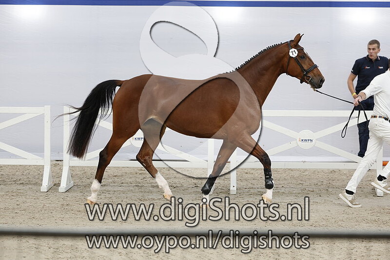 Pandora v. Karaldo VDL