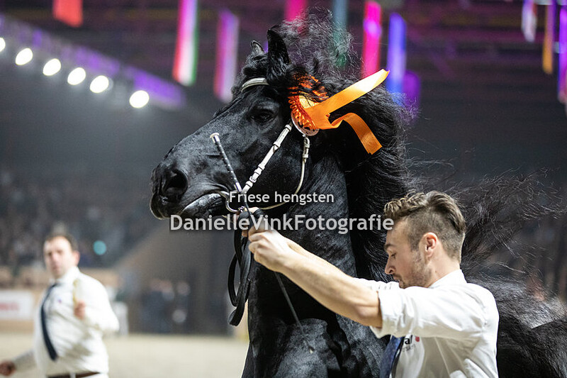 Hengstenkeuring 2023 Martzen 521