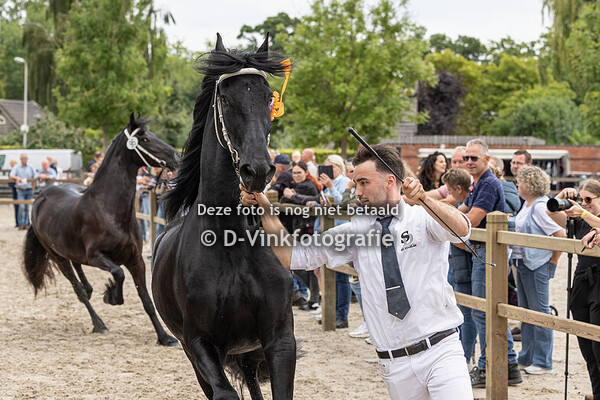 6. Premiekeuring 3 jarigen