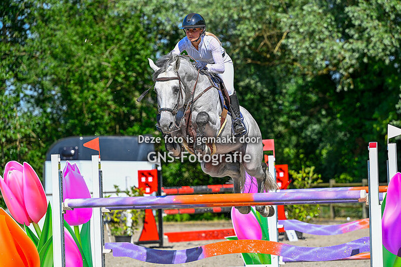 Springen Paarden 130 - 135 cm Ruitersport Centrum Breda zondag 25 juni 2023