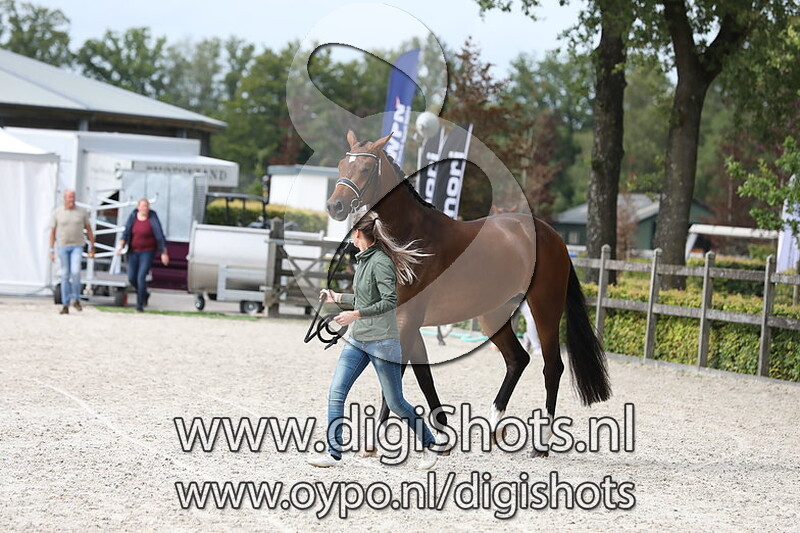 153 Nikita CVT v. Indian Rock