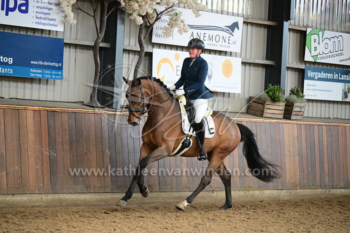 Laura van den Berg - Shelby