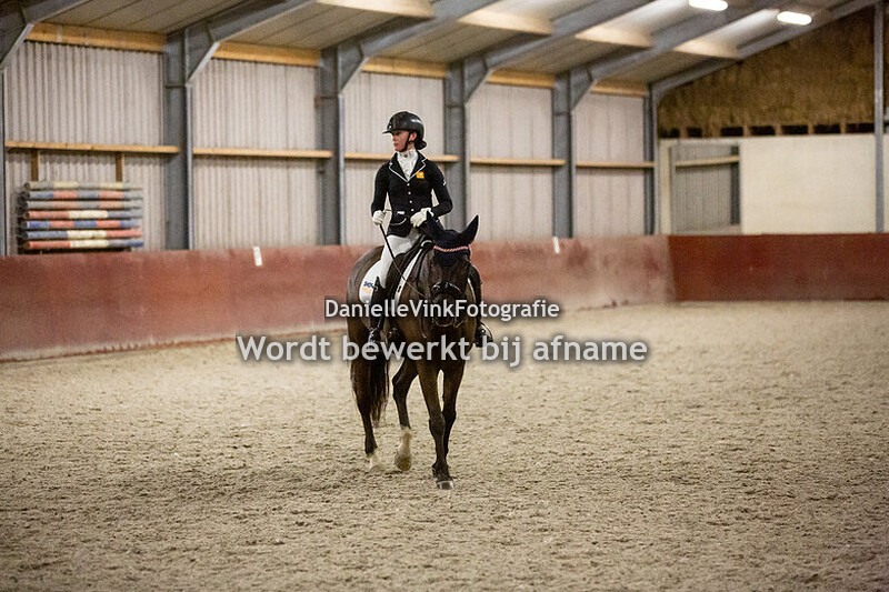 Z1 en Z2 paard (zaterdag)