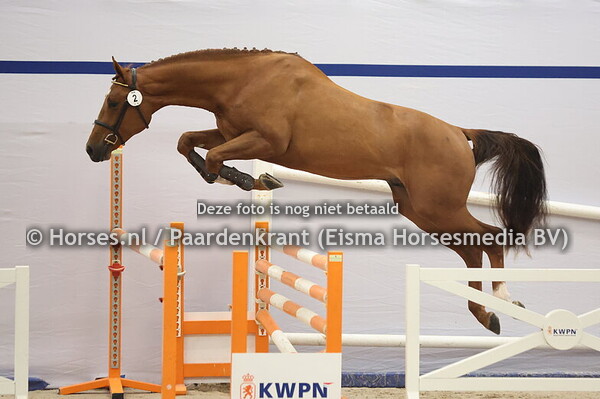 2 (Aganix du Seigneur x Clinton)