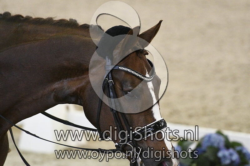 Diamonds are Forever G