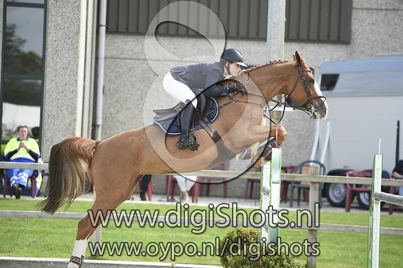 Beau Reve Vd Kruishoeve Z