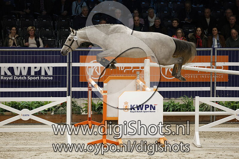 Rebel Blue N v. Zirocco Blue VDL - 157