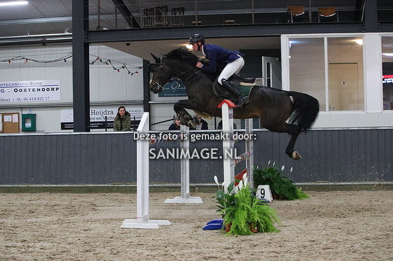 De Voornruiters De Meern Springen Paarden 13-10-2023 1.35m
