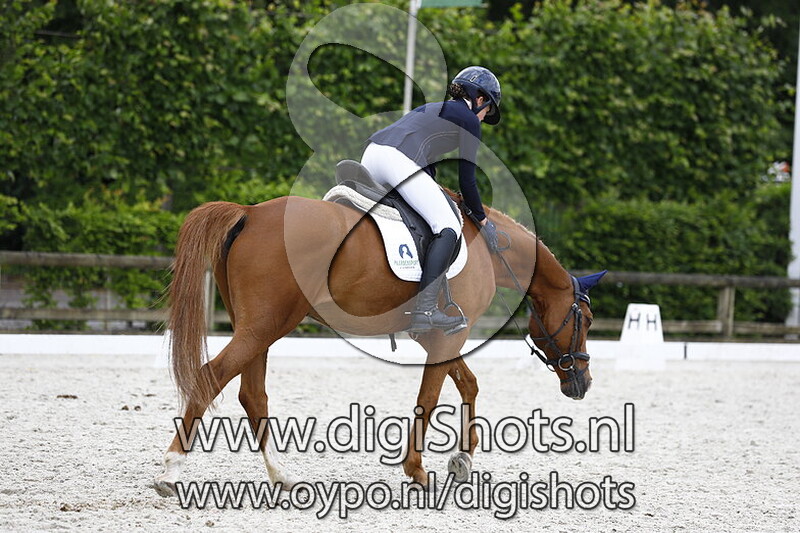 Kevin van Equi Center