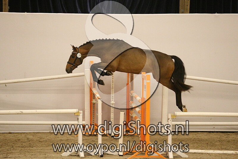 M Ruggeri v. Gerardus