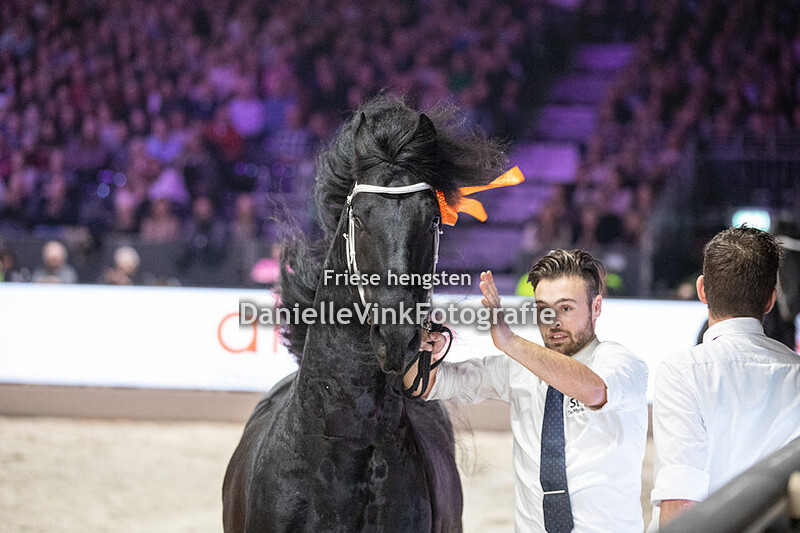 Hengstenkeuring 2025 Elger 536