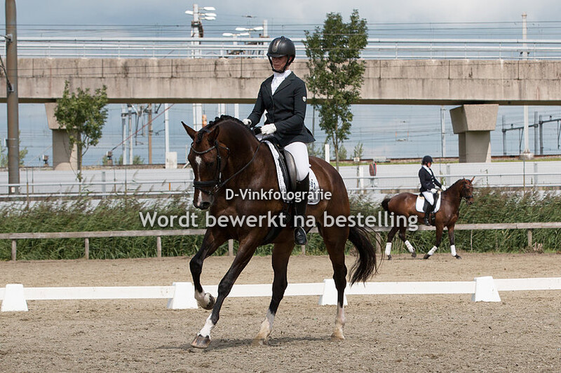 Marielle van Wijk - Four seasons