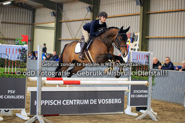 Regiokampioenschappen Limburg Springen Paarden M 17-02-19