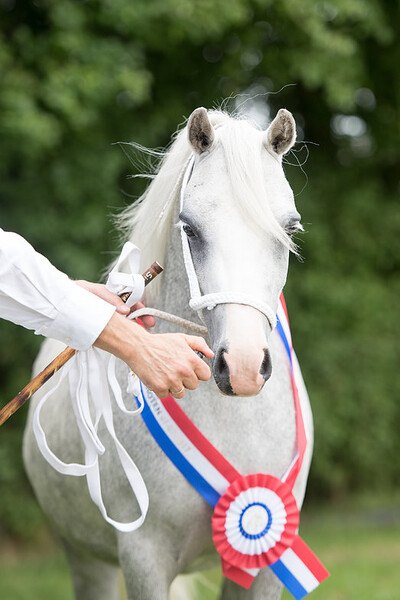 Regionale Keuring Bunschoten 