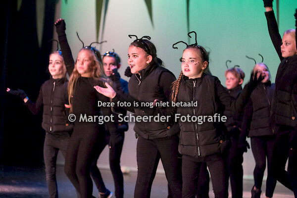 04. Zo groot als mieren