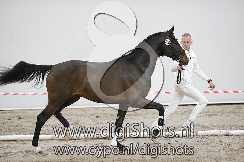 Milano CLD v. Ferdinand